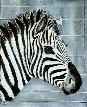 Reliefzebra