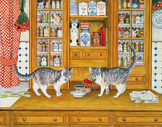 Dresser Cats de Ditz 