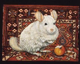 The Carpet-Chinchilla, 1992 