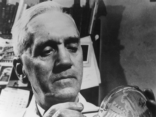 Alexander Fleming (1881-1955) c.1945 (b/w photo)  de English Photographer