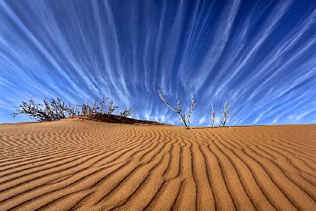 earth and sky lines