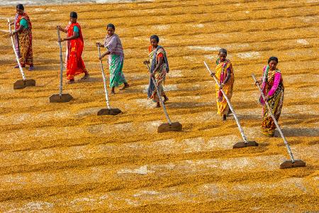 Women at work