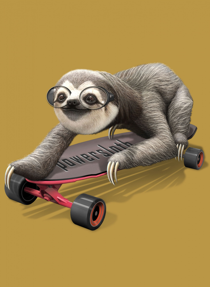 sloth on skateboard de Adam Lawless