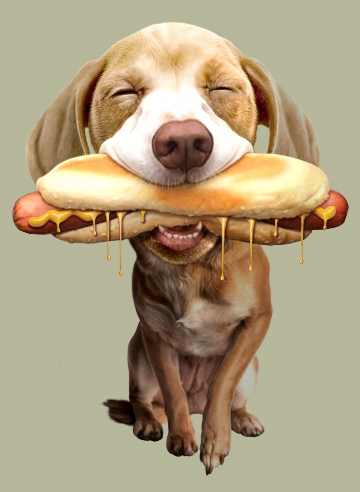 hotdog de Adam Lawless