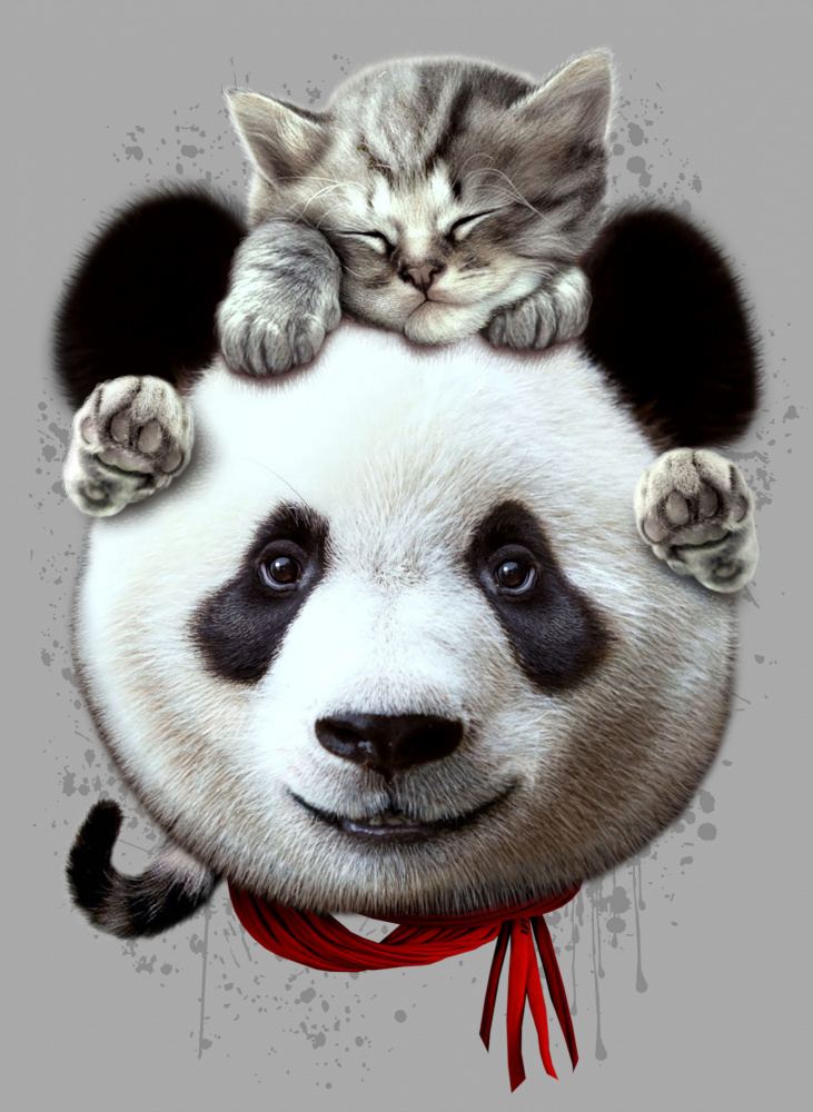 cat on panda bear de Adam Lawless