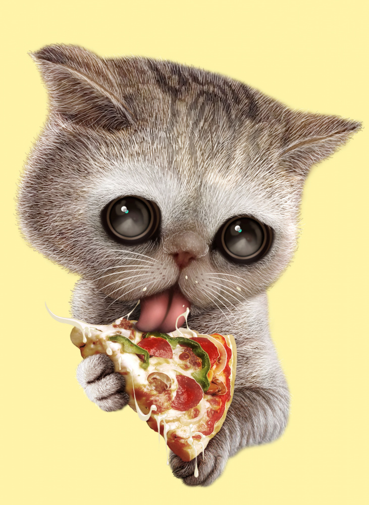 cat loves pizza de Adam Lawless