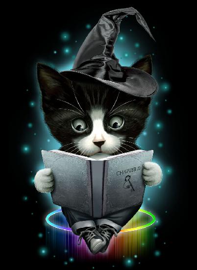 magical cat