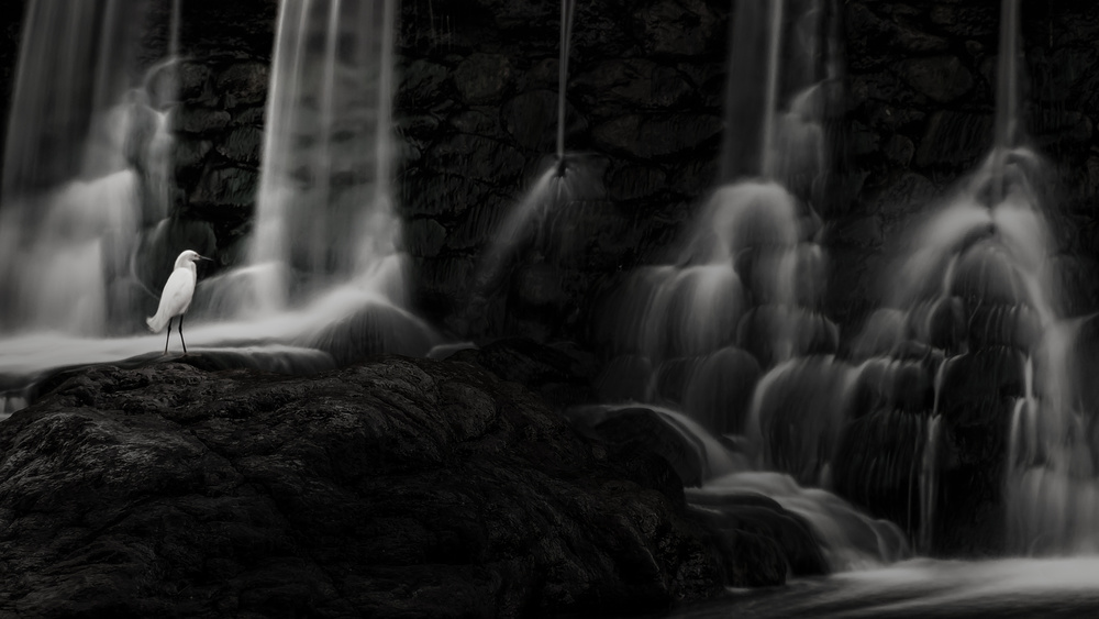 The spirit of the waterfall de Adolfo Arman