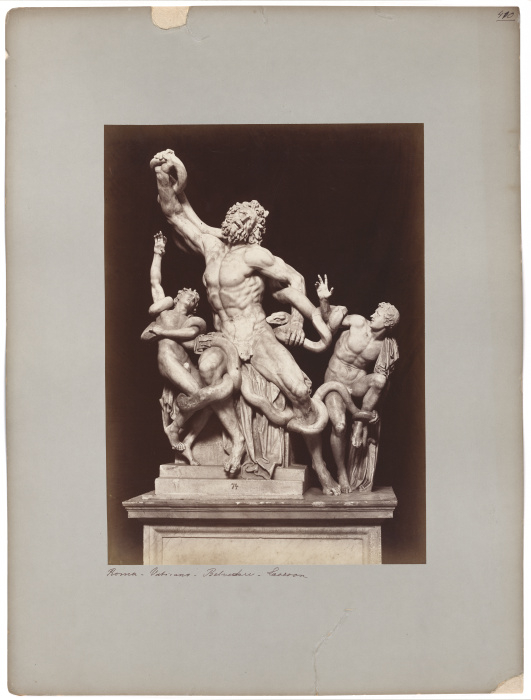 The Laocoon in the Vatican Museum de Adolphe Braun