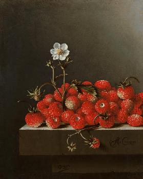 Still Life with Wild Strawberries