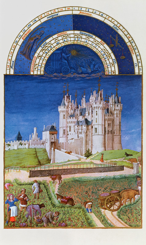 Fascimile of September: harvesting grapes the Limbourg brothers, from the ''Tres Riches Heures du Du de (after) French School