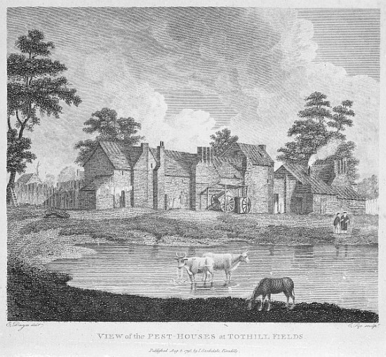 View of the Pest-Houses at Tothill Fields ; engraved by Charles Pye de (after) Edward Dayes