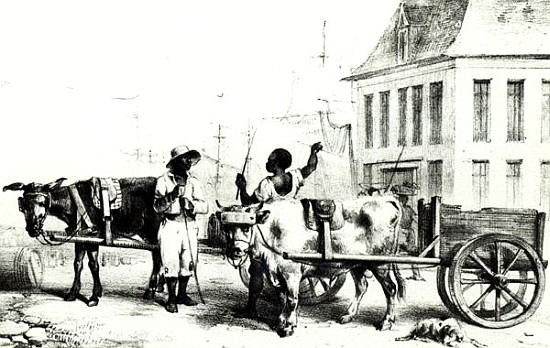 Negro Boys with bullock carts, from ''Voyage a Surinam'' 1834 de (after) Pierre J. Benoit