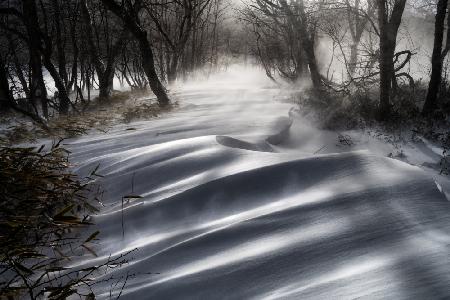 a snow pattern that shines out