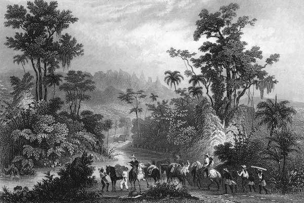 Jagd im Urwalde in Brasilien de Albert Henry Payne