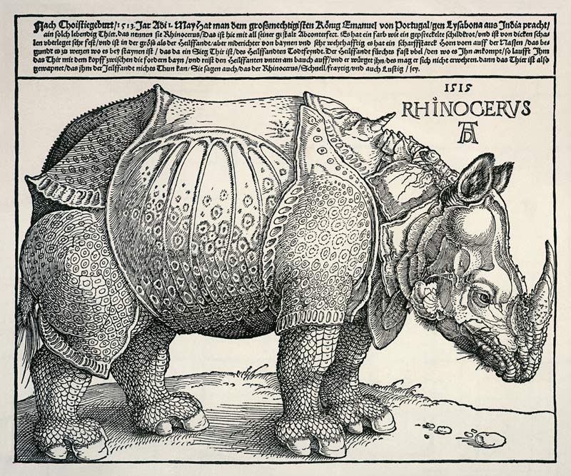 Rinoceronte de Alberto Durero