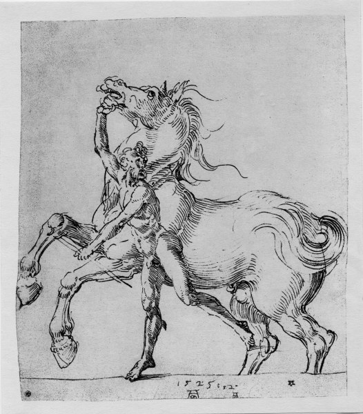 A.Dürer, Nude Man with Horse / 1525 de Alberto Durero