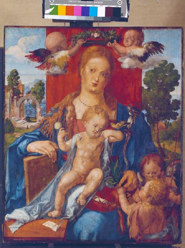 The Madonna with the siskin de Alberto Durero