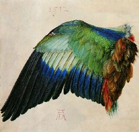 Ala de un pájaro 1512