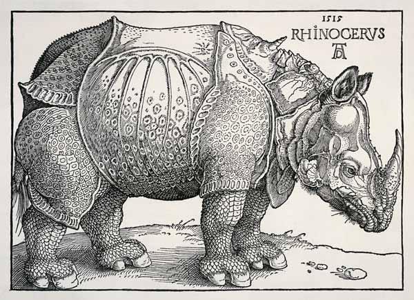 Rinoceronte - Alberto Durero en reproducción impresa o copia al óleo sobre  lienzo.