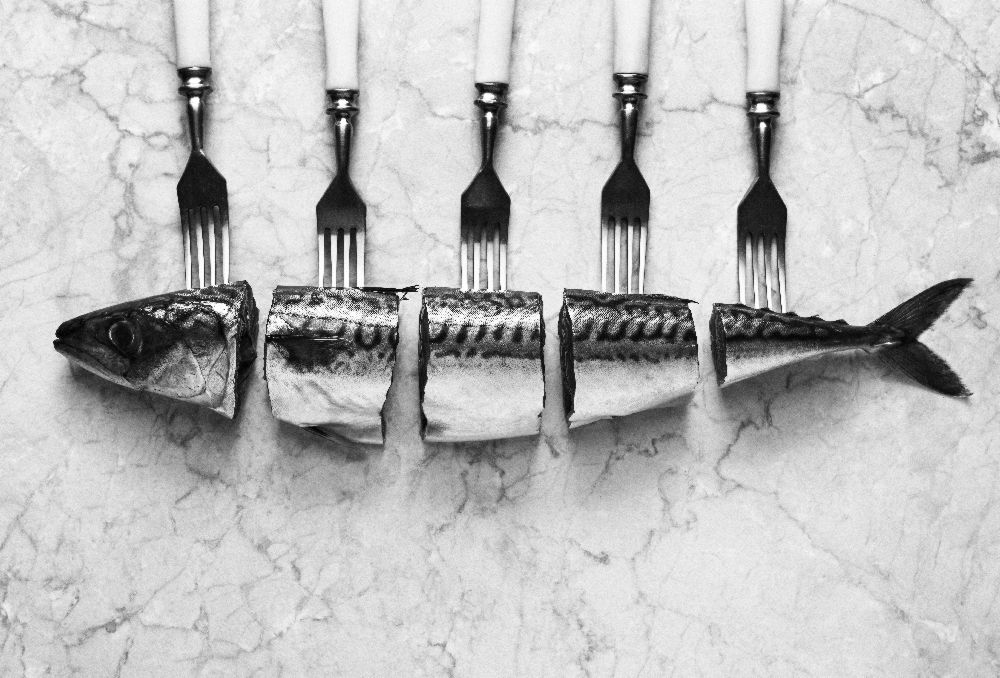 Mackerel&Forks de Aleksandrova Karina