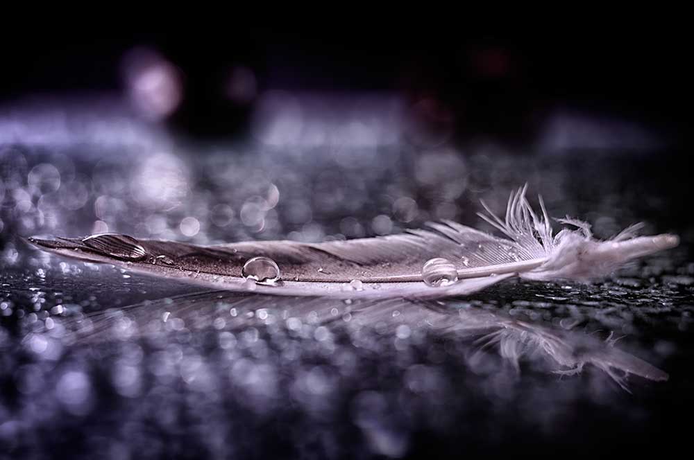 Feather and Drop II de Alessandro Fabiano
