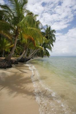 Bocas del Toro