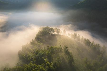 Above the foggy forest