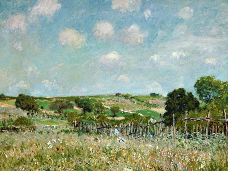 La Pradera de Alfred Sisley