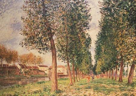 The Poplar Avenue at Moret, Cloudy Day, Morning de Alfred Sisley