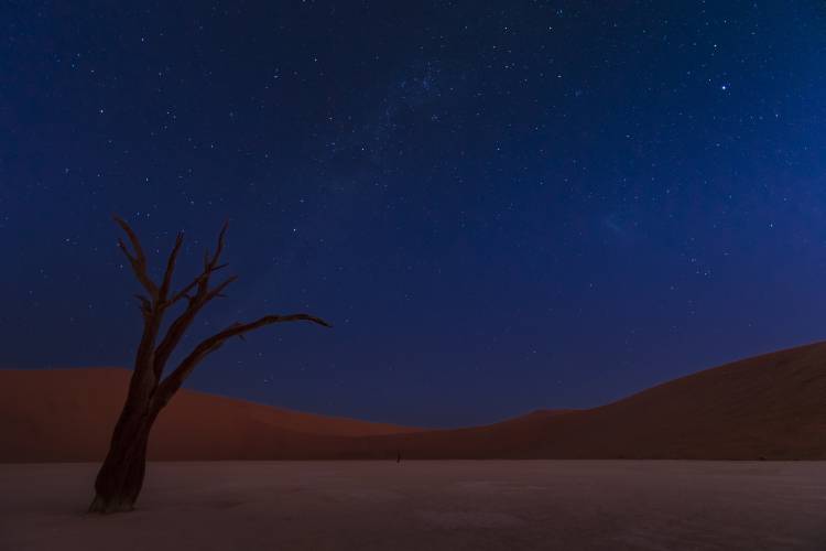 Stars and Dunes de Ali Khataw