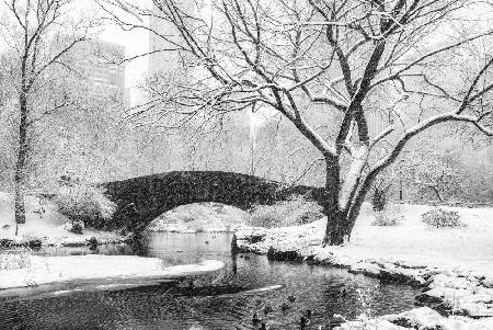 central park snow