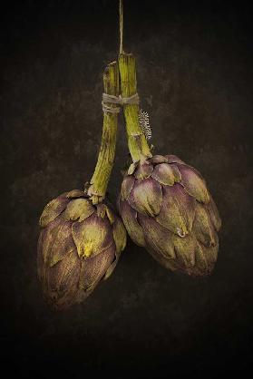 Artichoke