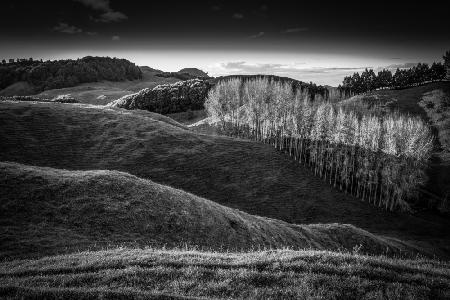 Pastoral scenery