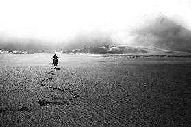 horse footprints