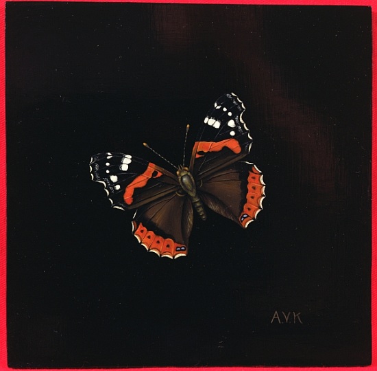 Red Admiral butterfly de  Amelia  Kleiser