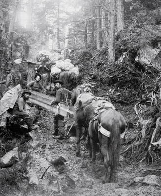 Climbing the Dyea Trail on the way to the Chilkoot Pass during the Klondike Gold Rush (1897-98) (b/w de American Photographer, (19th century)