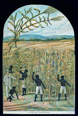Cutting cane on a sugar plantation in America's Deep South (colour litho) de American School