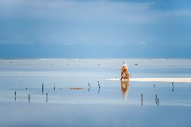 Low tide