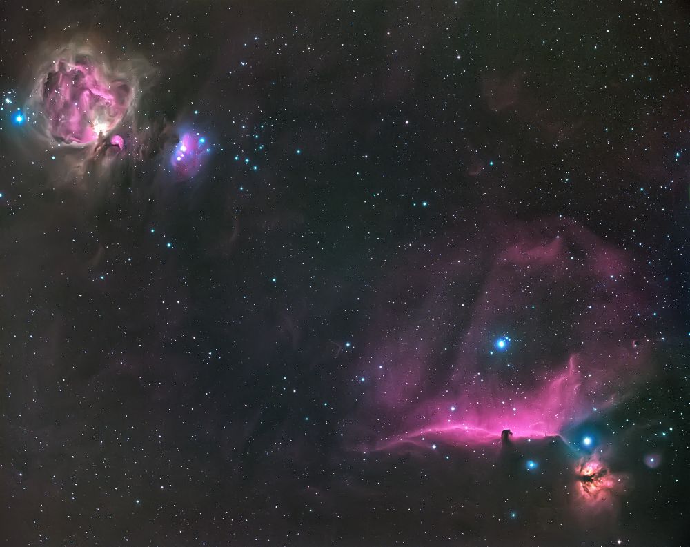 Orion Nebula and The Horsehead de Andrea Auf dem