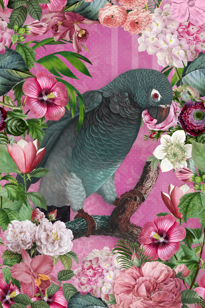 The Parrots Paradise Garden 3 de Andrea Haase
