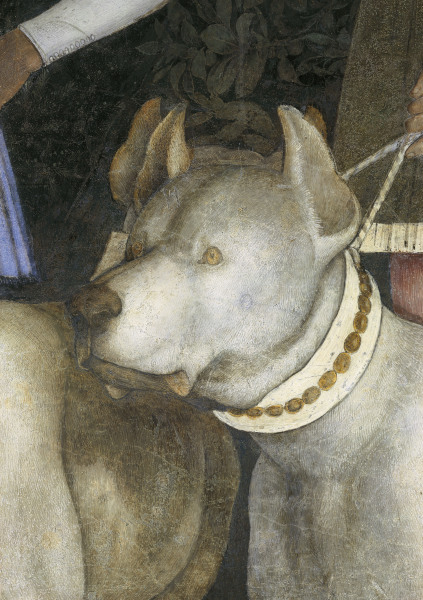 Camera d.Sposi, Dog de Andrea Mantegna