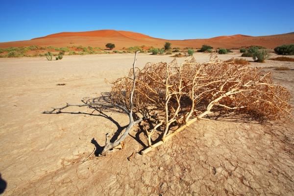 Sossusvlei Namibia de Andreas Pollok