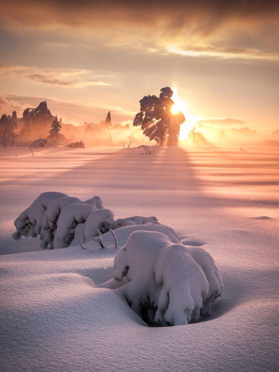 After the Storm de Andreas Wonisch