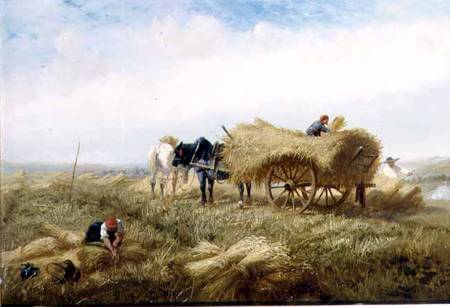 Harvesting, near Boulogne-sur-Mer de Andrew Beavis