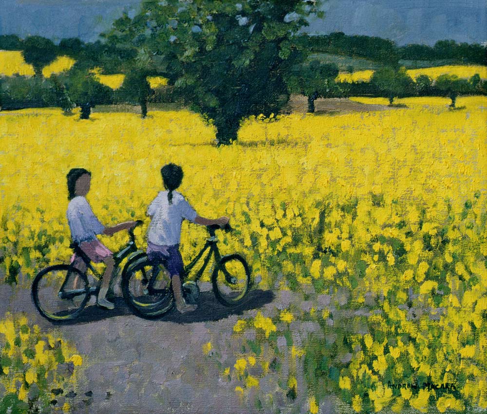 Yellow Field, Kedleston, Derby (oil on c - Andrew Macara en reproducción  impresa o copia al óleo sobre lienzo.