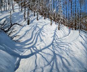 Fir Tree Shadows, Tignes