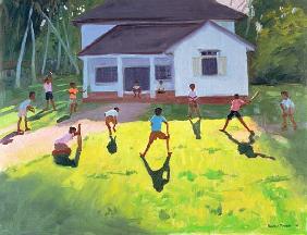 Cricket, Sri Lanka, 1998 (oil on canvas) 