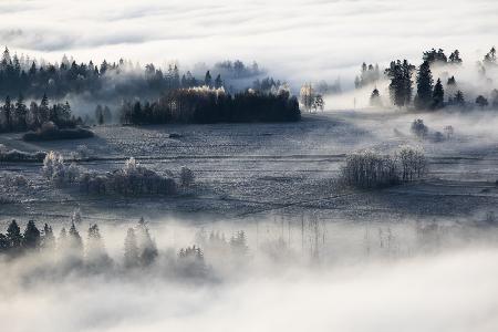 misty &amp; frosty morning