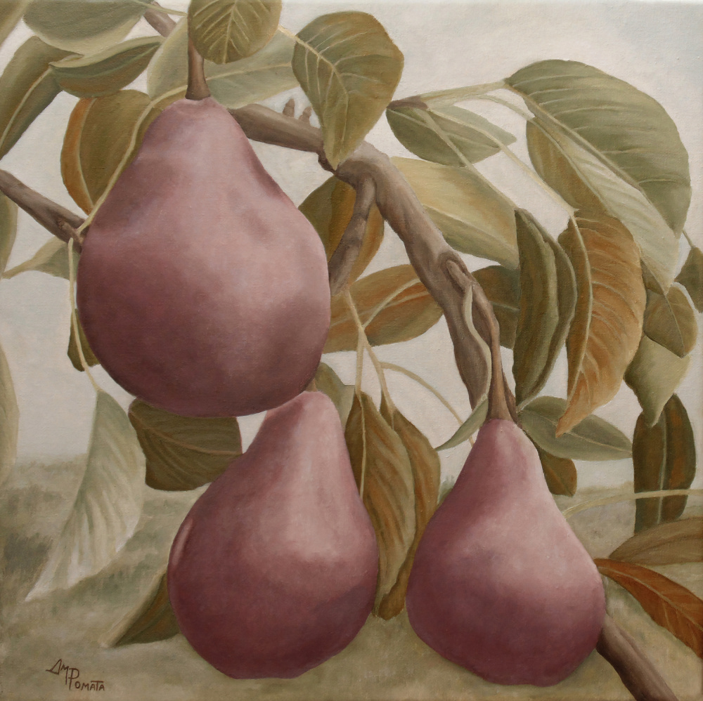Max Red Bartlett Pears de Angeles M. Pomata